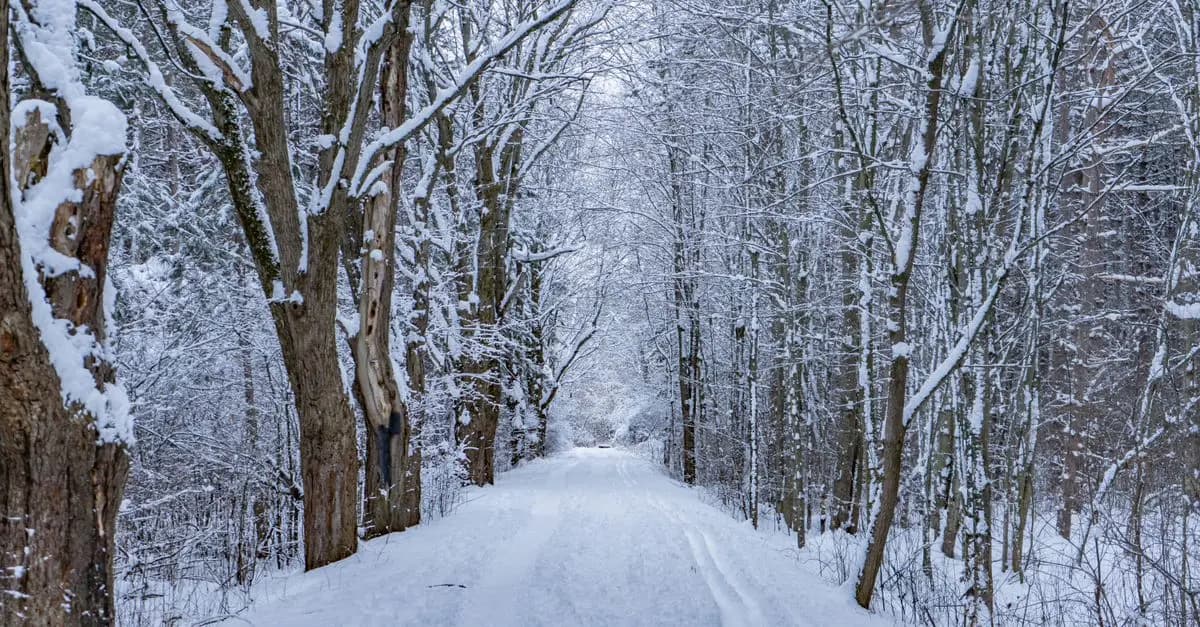 Rebajas de Invierno: Qué No Debes Dejar Pasar